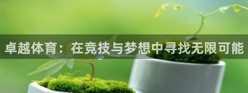 速球体育正规不：卓越体育：在竞技与梦想中寻找无限可能