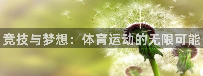 速球体育网址：竞技与梦想：体育运动的无限可能