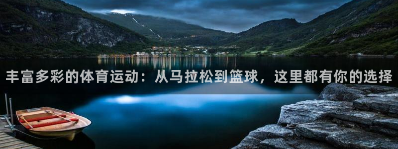 速球体育官网下载