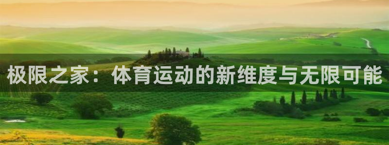 速球体育App下载