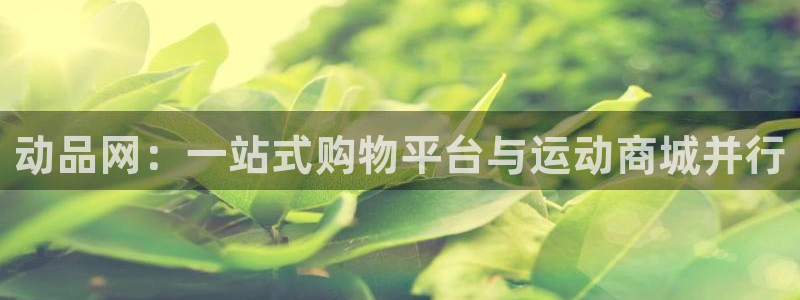 速球体育官方版下载