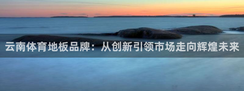 速球体育官网下载