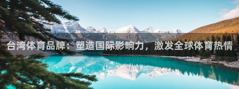 速球体育网址