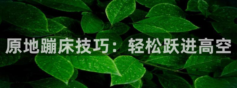 速球体育官方入口地址：原地蹦床技巧：轻松跃进高空