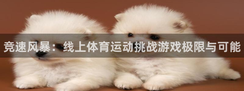 速球体育：竞速风暴：线上体育运动挑战游戏极限与可能