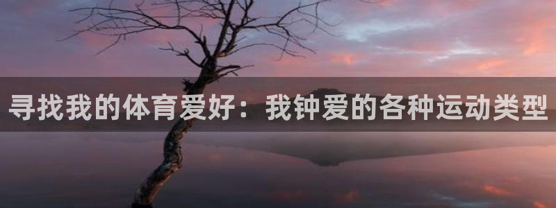 速球体育正规不：寻找我的体育爱好：我钟爱的各种运动类型