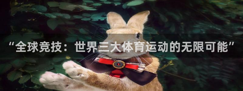 速球体育官网入口