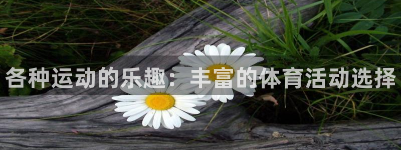 速球体育可以玩吗