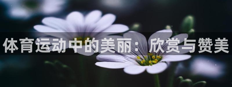 速球体育官网下载：体育运动中的美丽：欣赏与赞美